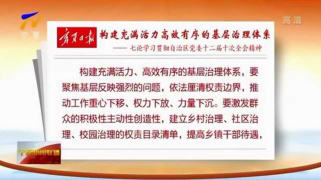 宁夏日报:构建充满活力高效有序的基层治理体系