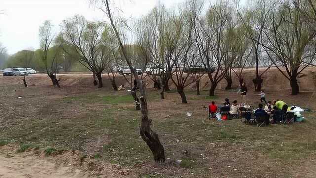 在家圈几个月,吃货们终于憋不住了,黄河滩坝头到处都有吃野餐的