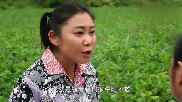 农村泼妇诬赖柿红,柿红忍不住给她一巴掌,丈夫却不管她死活