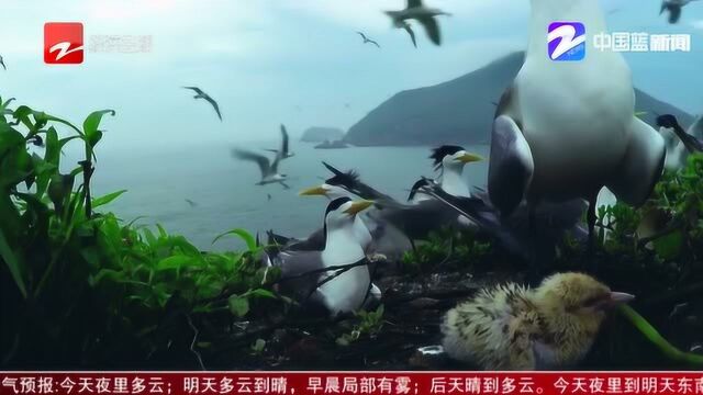 象山三大自然保护区入列国家级生物多样性保护区