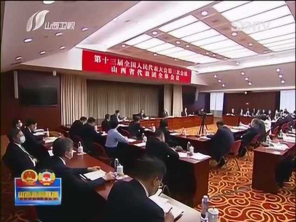 山西代表团审议政府工作报告 刘鹤参加楼阳生主持并发言林武发言腾讯视频