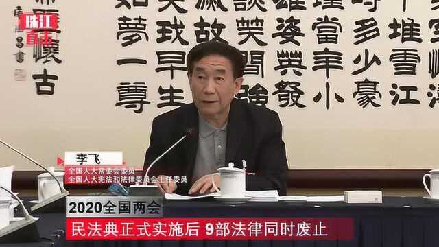 全国人大常委会委员李飞:民法典正式实施后 9部法律同时废止