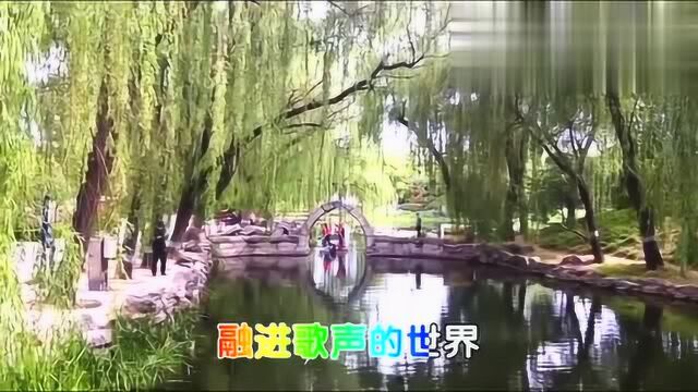 北京圆明园初夏风光实拍,音乐背景《芬芳五月》