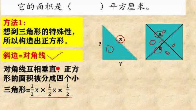 0050北大附小升初3:等腰直角三角形的面积