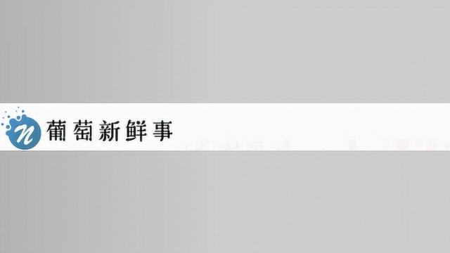 肖战粉丝公益因一个“赞”字道歉,接受所有善意的批评和指正