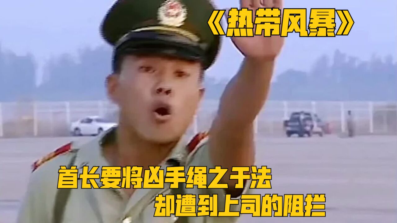 哨兵在机场被汽车撞飞,首长要将凶手绳之于法,却遭到上司的阻拦