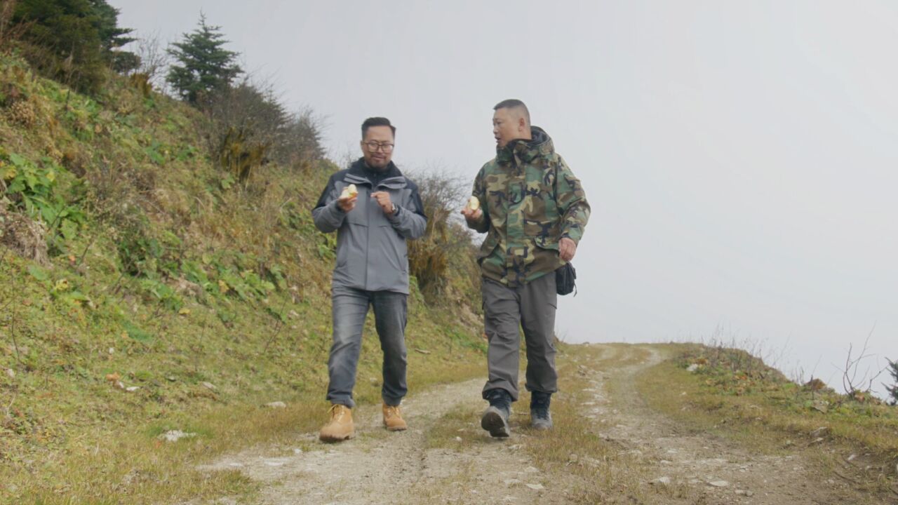 越野达人穿越乐西公路留下遗憾,建设者后代坚守家乡成乡村振兴领头人