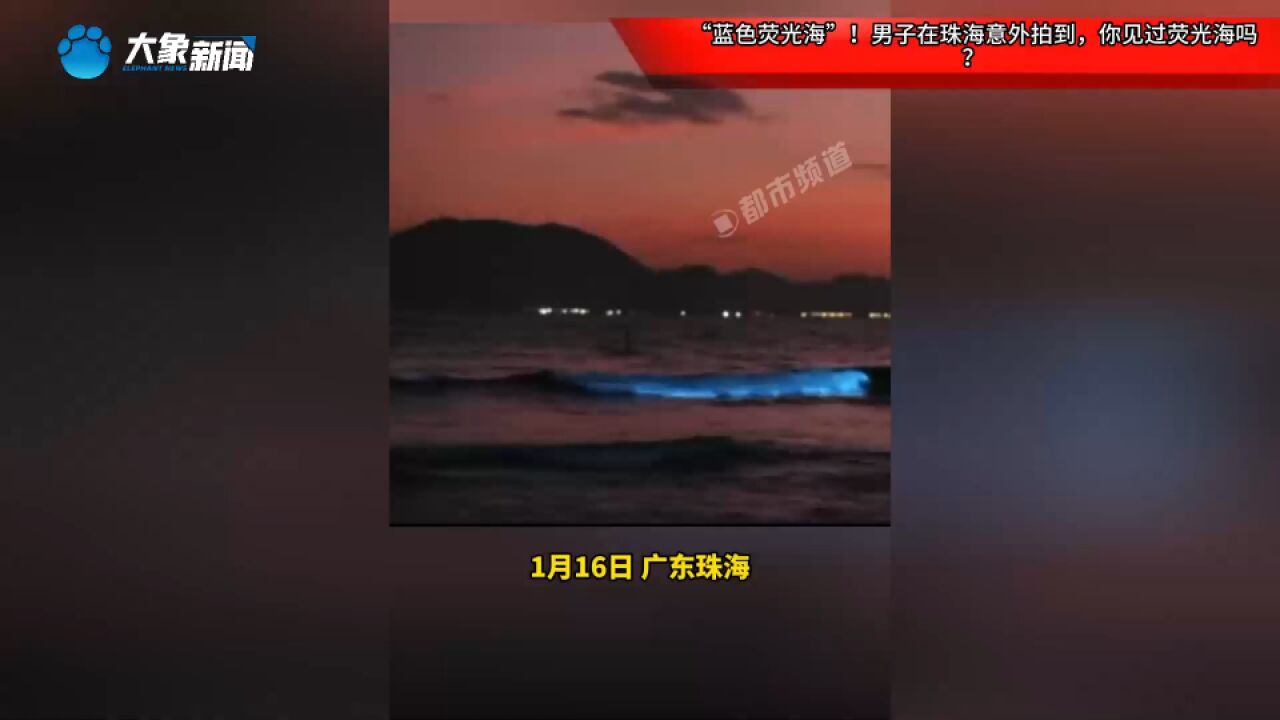 “蓝色荧光海”!男子在珠海意外拍到,你见过荧光海吗?