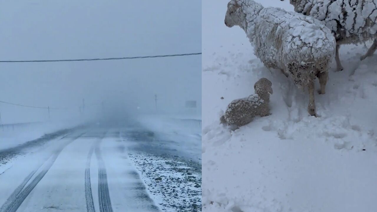 被夏季“踢出群聊”?内蒙古克什克腾旗五月飘起大雪 大地一片银白