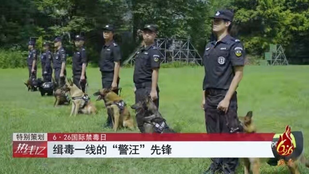 缉毒一线的“警汪”先锋