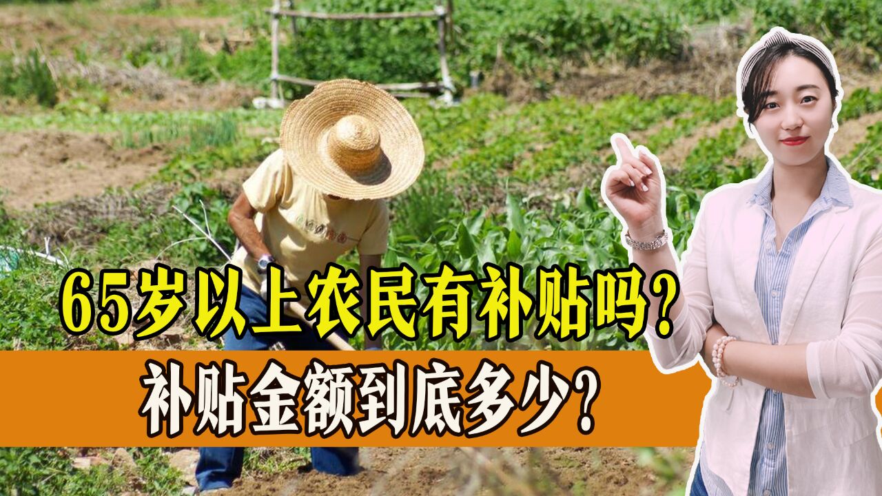 65岁以上农民有补贴吗?补贴金额到底多少?一起了解!