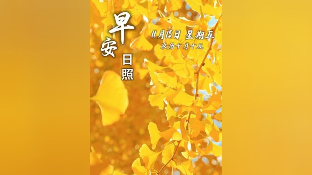 今天是11月15日,星期五,早安.心怀美好,生活处处是风景.愿你在新的一天里,事事顺心,笑容常在,幸福满溢.