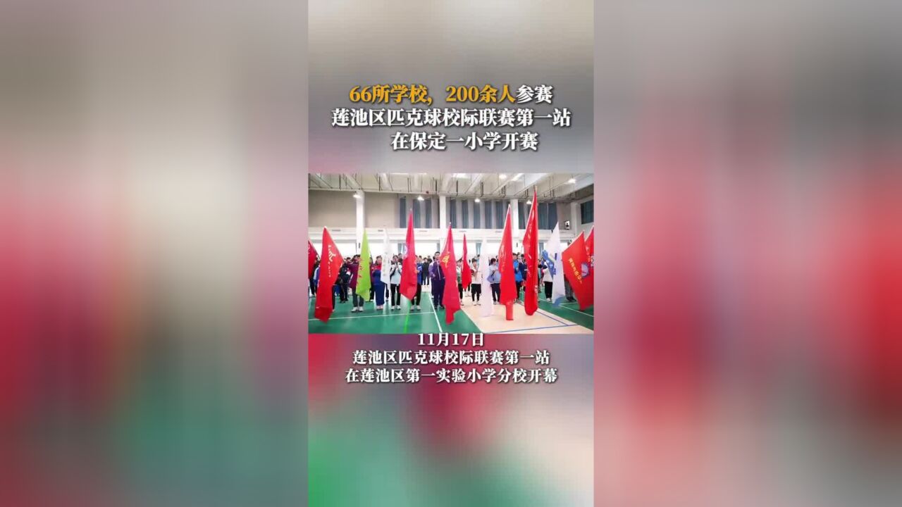 66所学校,200余人参赛,莲池区匹克球校际联赛第一站在保定一小学开赛