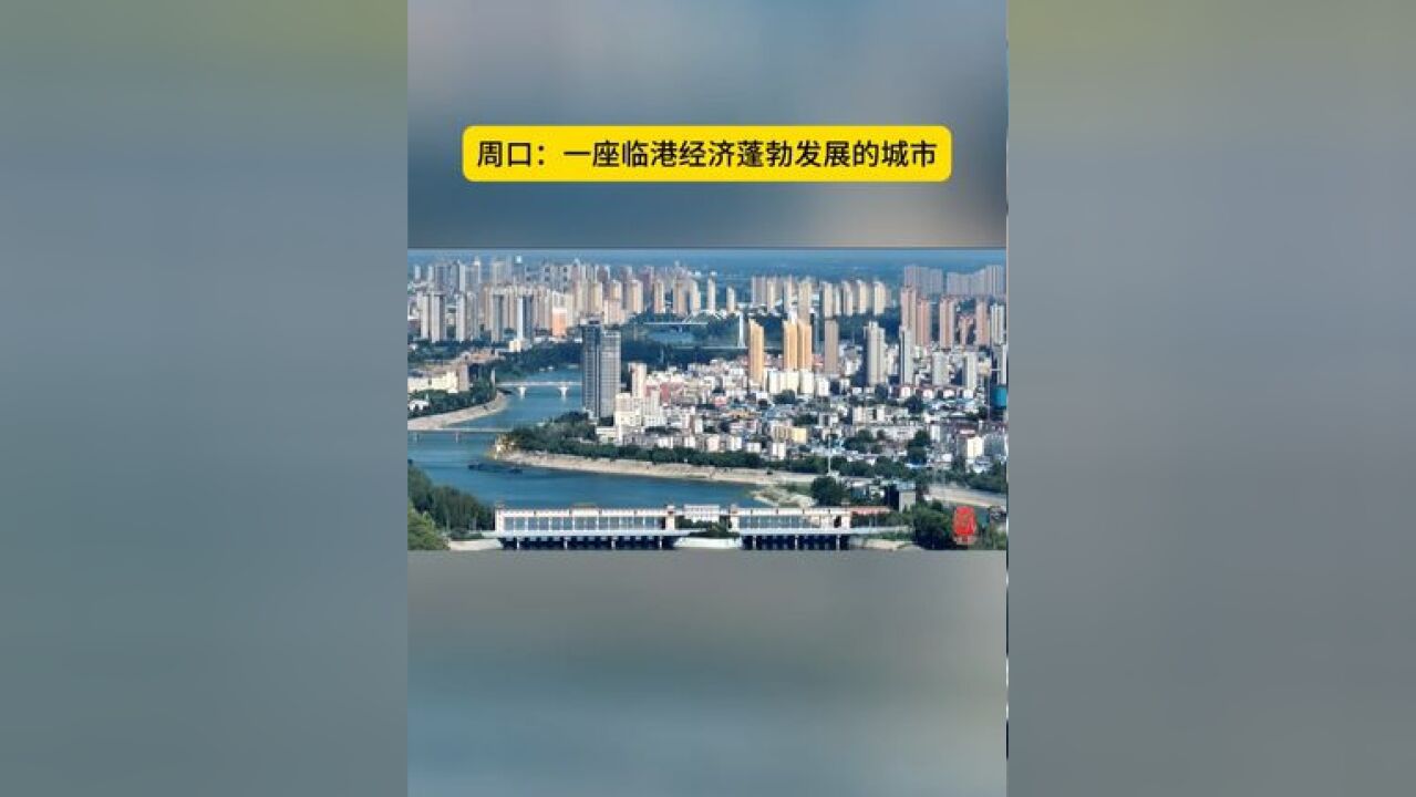 周口是一座临港经济蓬勃发展的城市