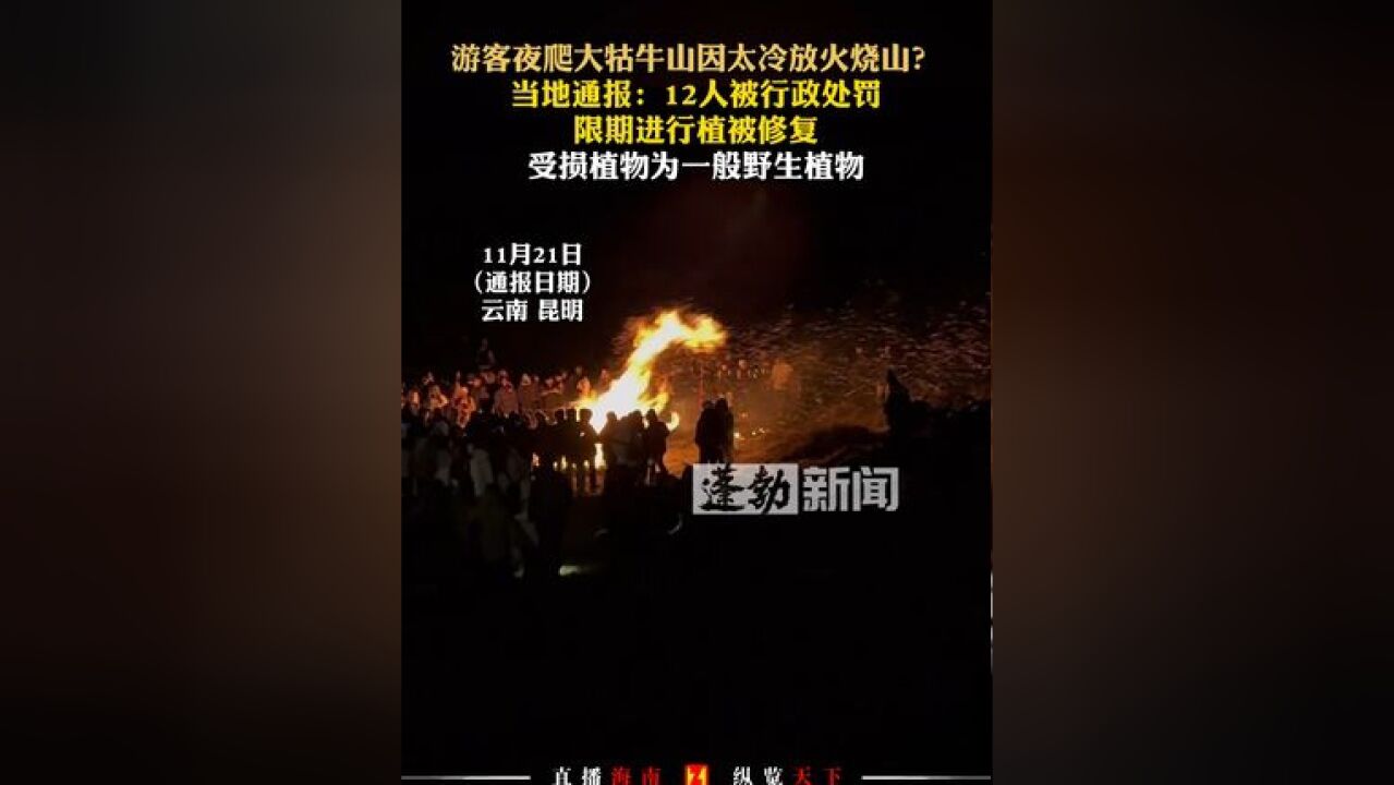 游客夜爬大牯牛山因太冷放火烧山?当地通报:12人被行政处罚,限期进行植被修复,受损植物为一般野生植物