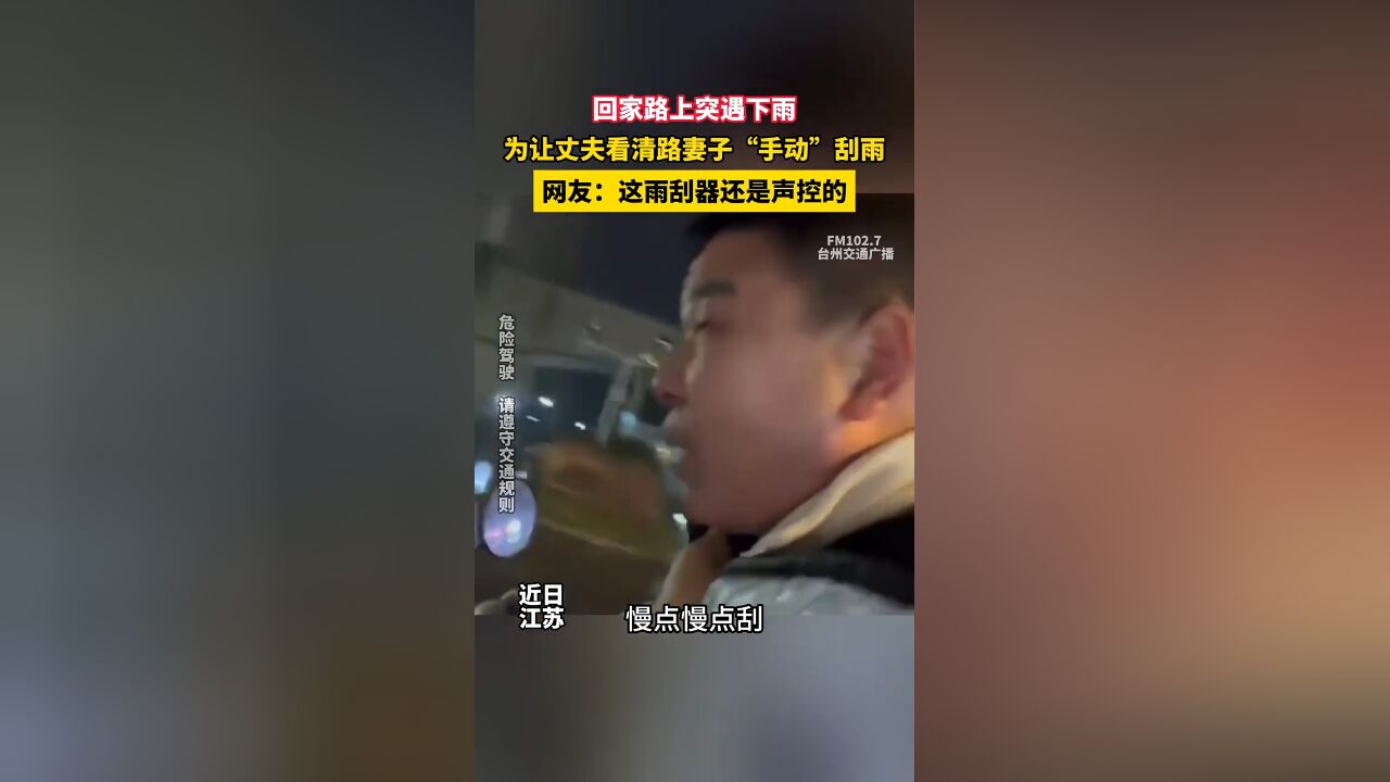 回家路上突遇下雨,为让丈夫看清路妻子“手动”刮雨,网友:这雨刮器还是声控的