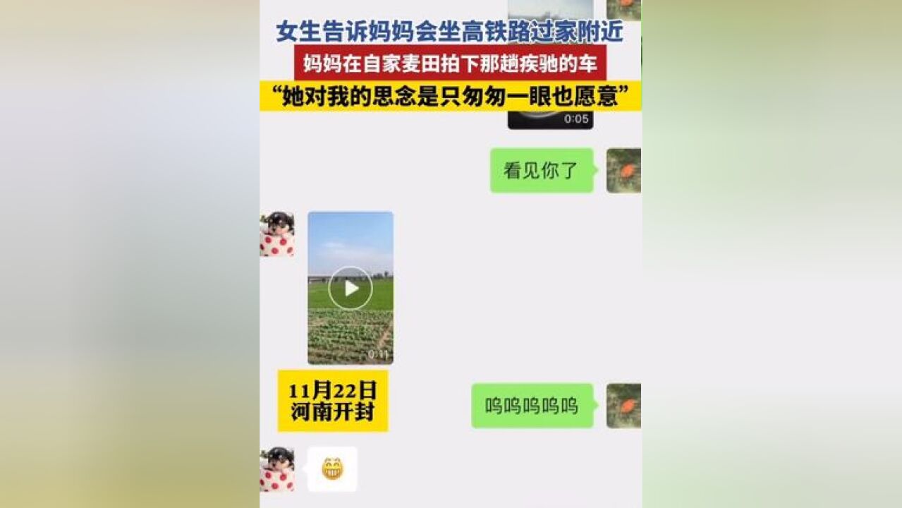 11月22日,河南开封.“她对我的思念是只匆匆一眼也愿意”,女生告诉妈妈会坐高铁路过家附近,妈妈在自家麦田拍下那趟疾驰的车.