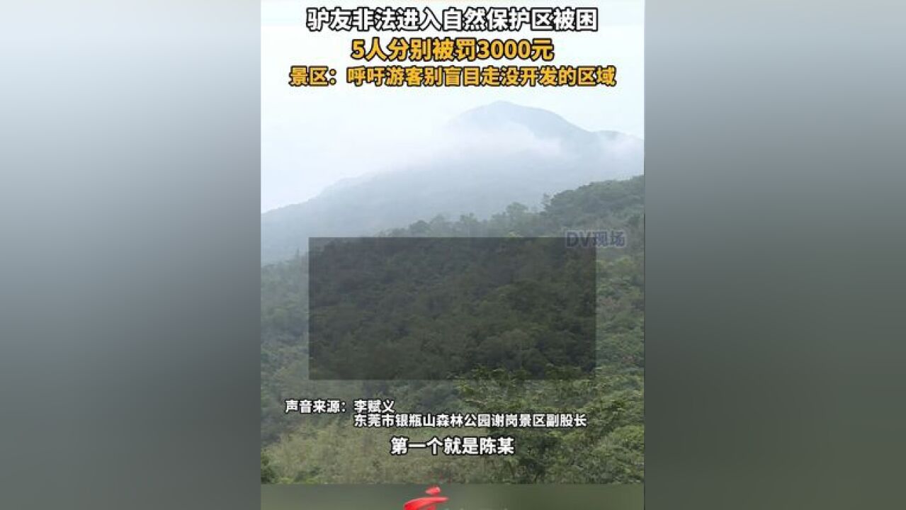 驴友非法进入自然保护区被困,5人分别被罚3000元,景区:呼吁游客别盲目走没开发的区域