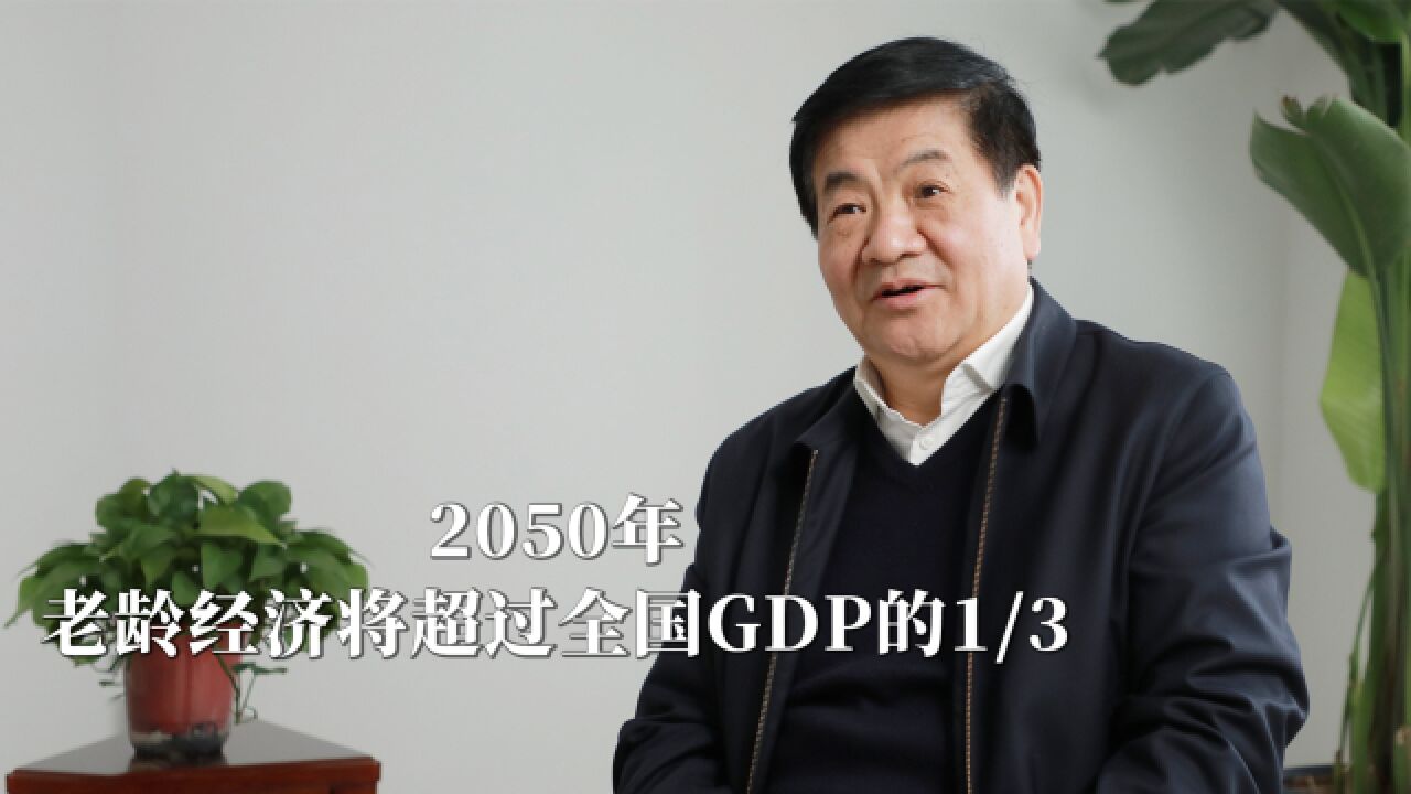 2050年老龄经济将超过全国GDP的1/3