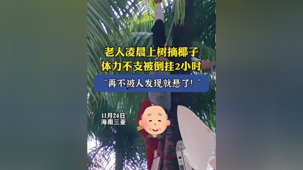 老人凌晨上树摘椰子,体力不支被倒挂2小时:再不被人发现就悬了!