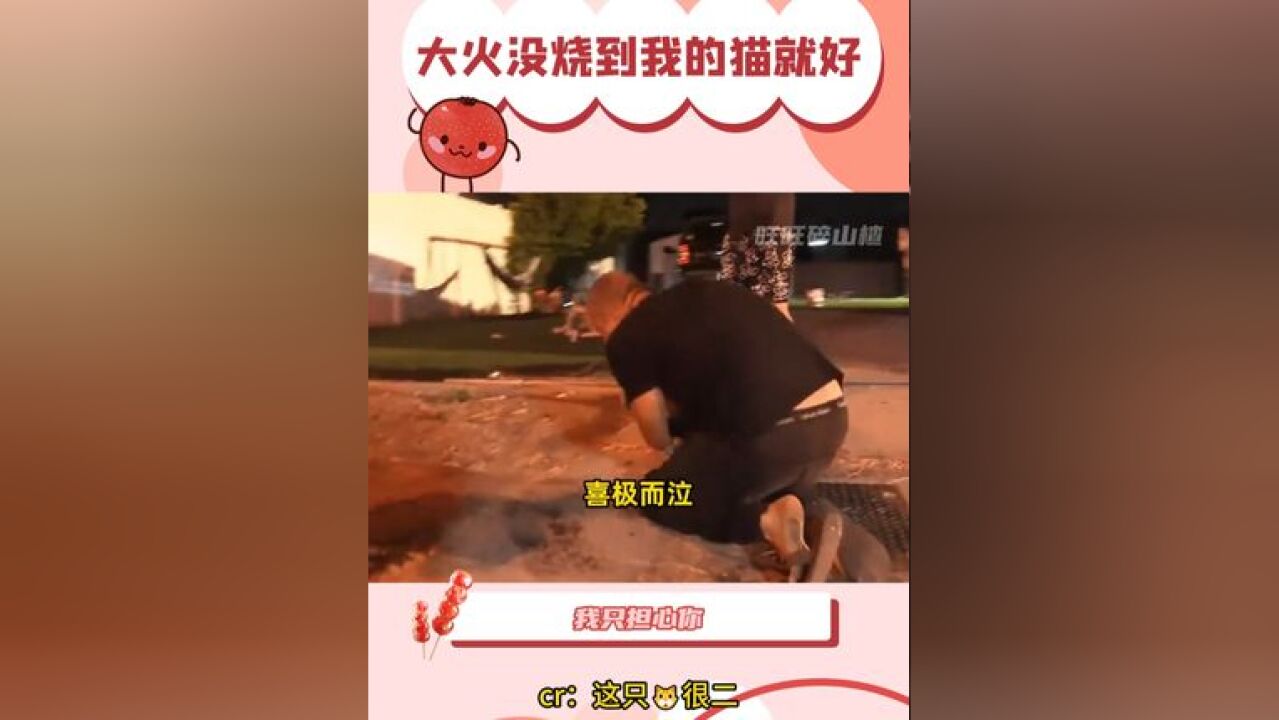 大火没烧到我的猫就好 看到被熊熊大火燃烧的家,我只担心我的猫