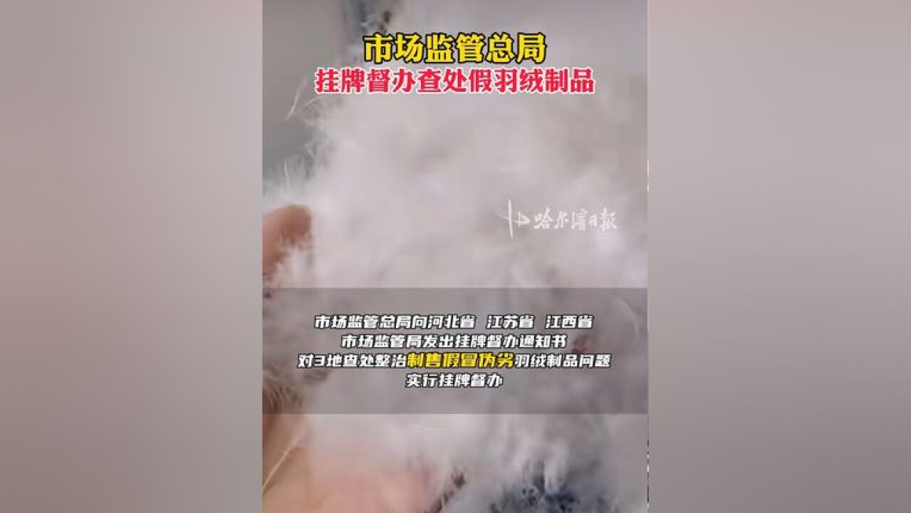 市场监管总局挂牌督办查处假羽绒制品