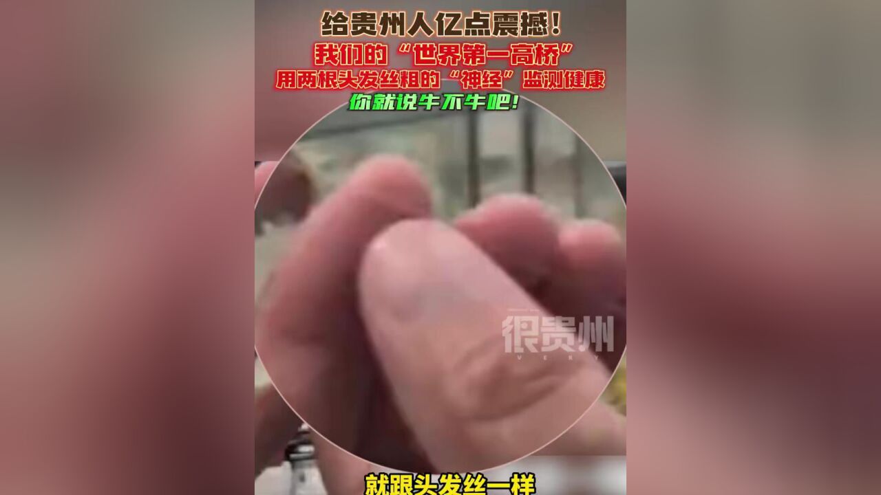 给贵州人亿点震撼!我们的“世界第一高桥”用两根头发丝粗的“神经”监测健康,你就说牛不牛吧!