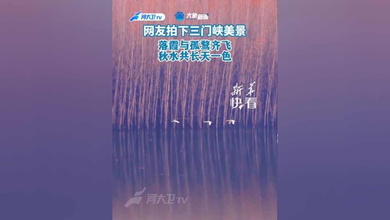 网友拍下三门峡美景“秋水共长天一色”