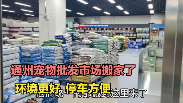 北京通州宠物批发市场搬家了,这里环境更好,品种齐全,停车方便