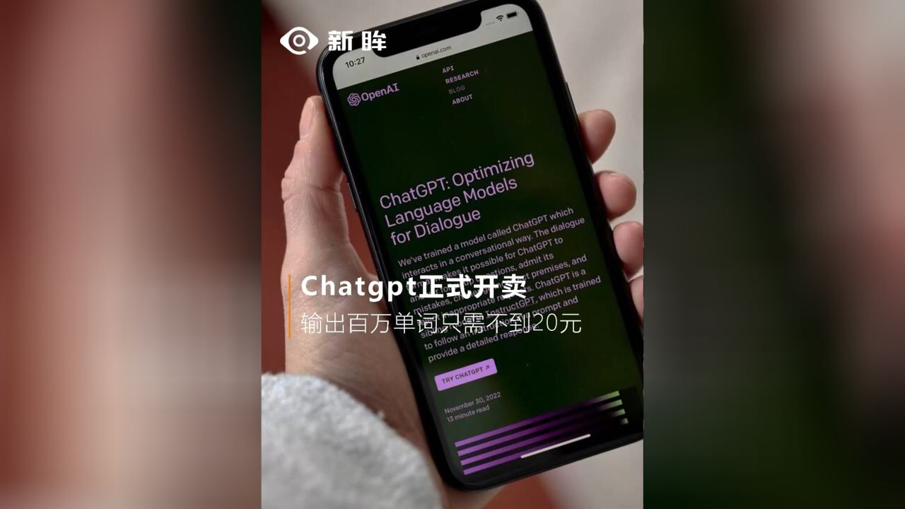 Chatgpt正式开卖,输出百万单词只需不到20元