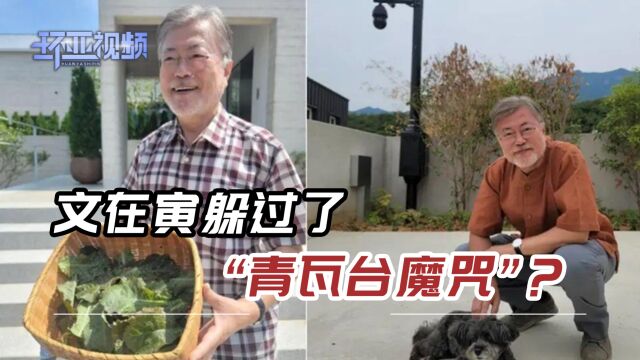 文在寅现状曝光:头发稀疏花白,回乡种番薯,穿牛仔裤见老部下