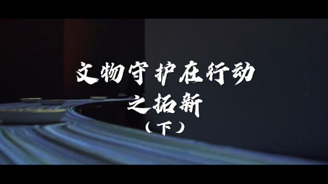 文物守护在行动——拓新(下)