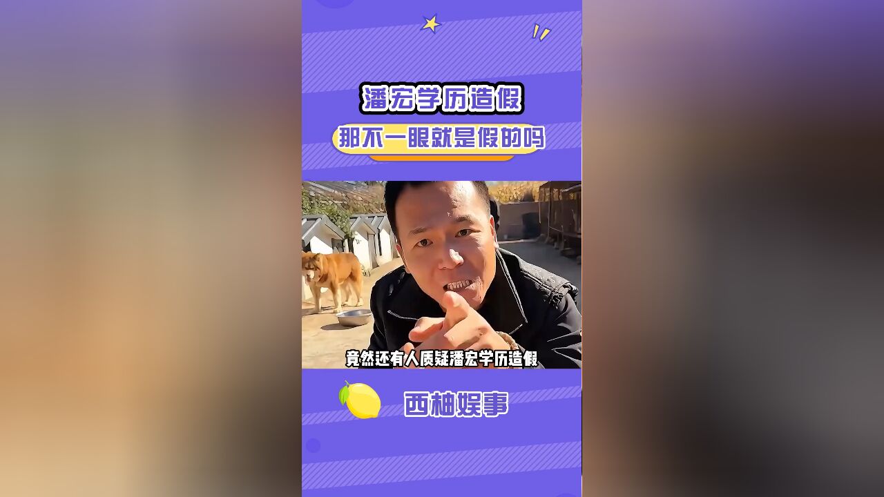 有人质疑潘宏学历造假,网友:这东西还要质疑?