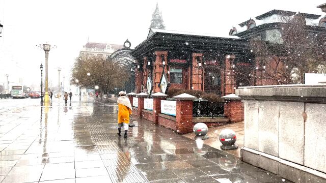 好魔幻!哈尔滨送走沙尘暴迎来春雪 大片雪花漫天飞舞