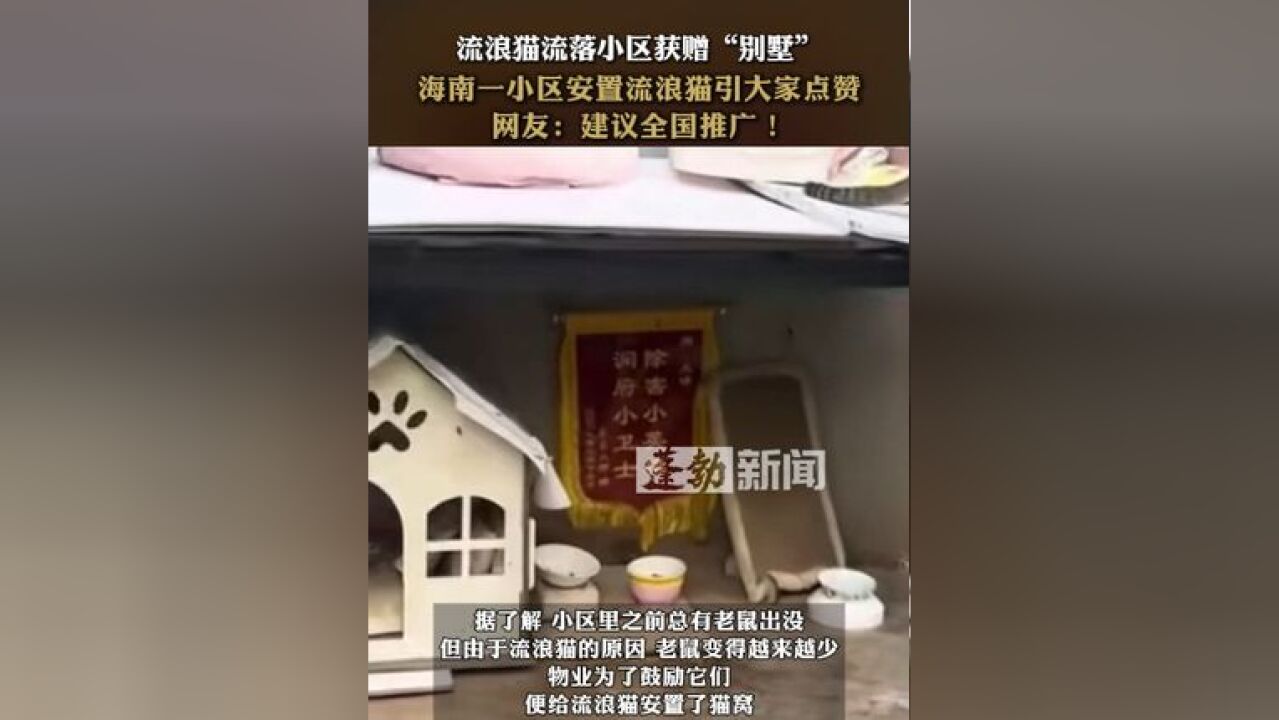 流浪猫流落小区获赠“别墅”海南一小区安置流浪猫引大家点赞 网友:建议全国推广!