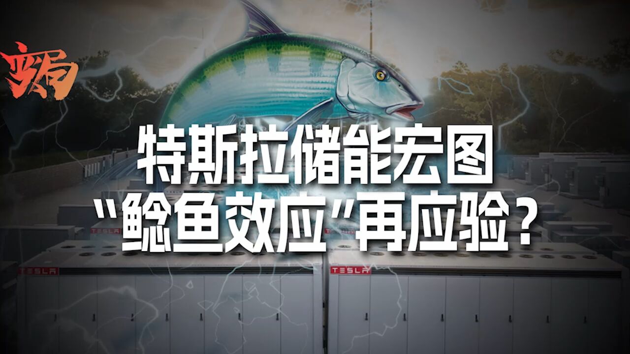 特斯拉储能超级工厂落户上海!是否再现行业“鲶鱼效应”?