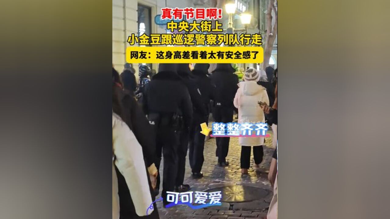 真有节目啊!中央大街上小金豆跟巡逻警察列队行走 网友:这身高差看着太有安全感了