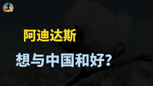 阿迪达斯服软了?在华业绩已连续7个季度下滑!