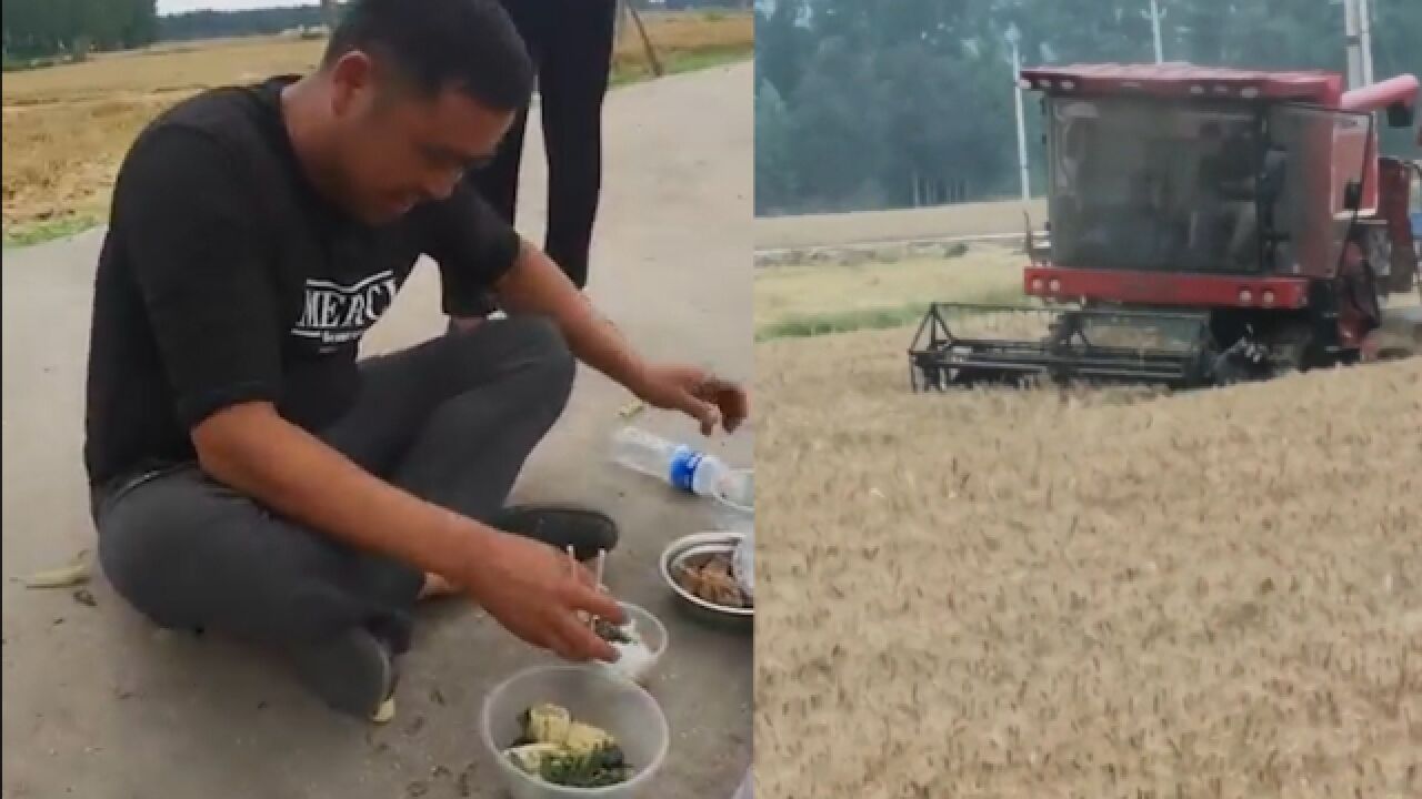 河南粮农为麦客提供自家饭菜 粮农:每年给做饭,都挺不容易