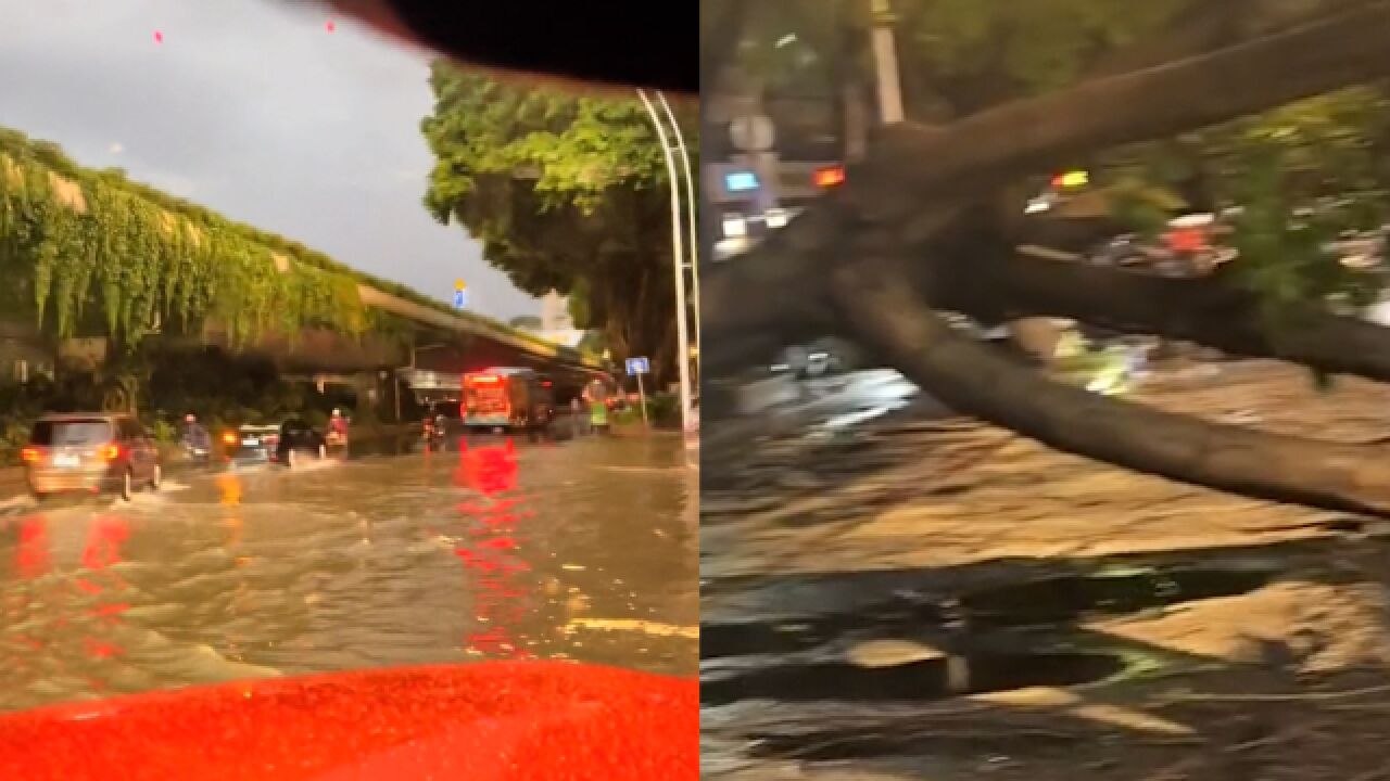 福建福州受狂风暴雨袭击:大树倒伏阻断道路 轿车变“船”缓慢前行