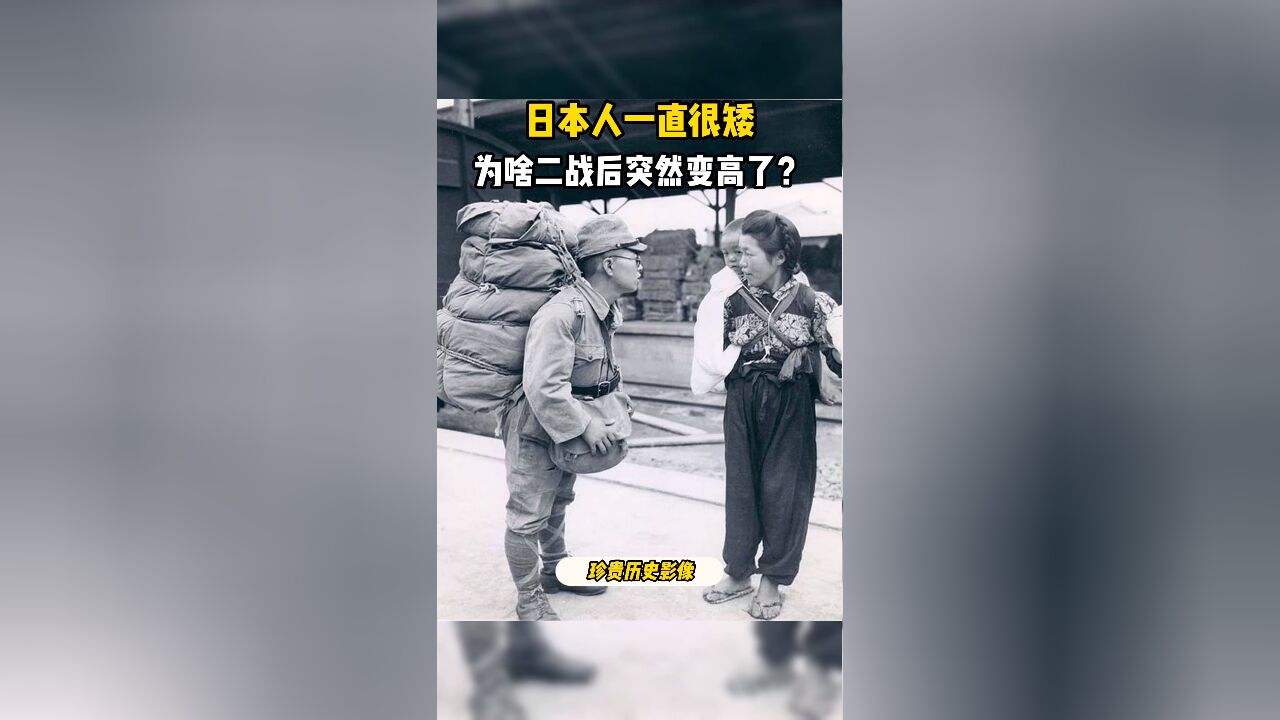 二战后日本人为啥变高了?德川家15代将军1米2起