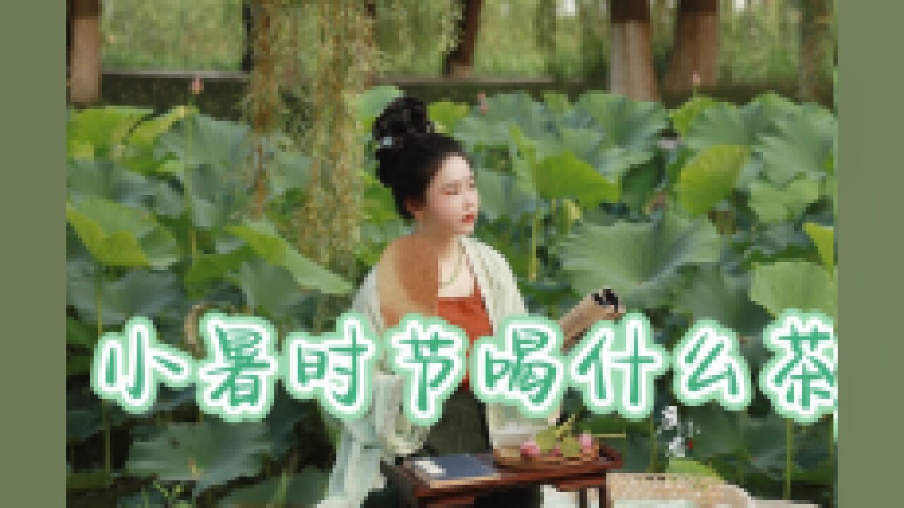 小暑时节宜饮什么茶?菊花普洱清热解暑了解一下|二十四时ⷨŒ𖤺‹