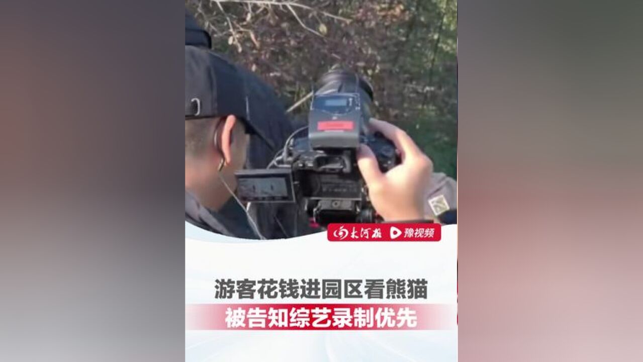 游客花钱进园区看熊猫,却被告知媒体综艺录制优先,男子怒吼:这是谁给你们的特权?