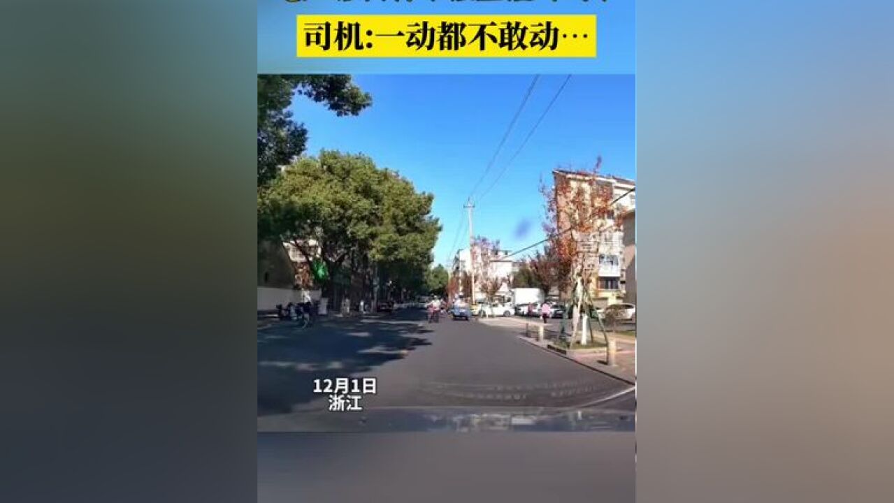 老人推自行车径直撞向汽车,司机:一动都不敢动…