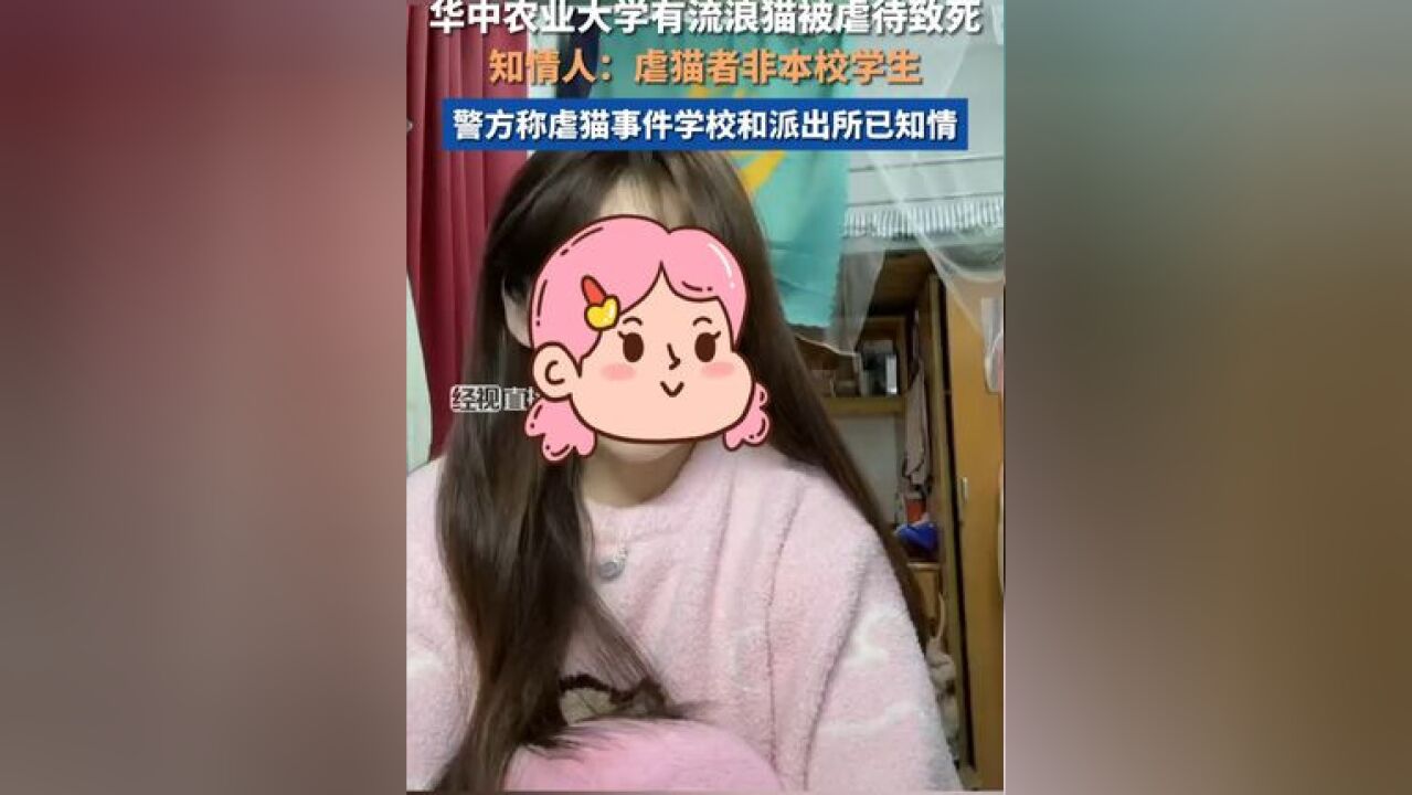 华中农业大学有流浪猫被虐待致死,知情人透露虐猫者非本校学生