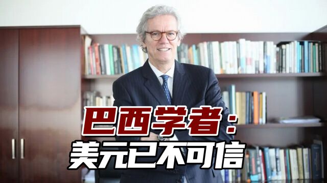 巴西学者:美元不再值得信赖,支持金砖国家建立共同货币