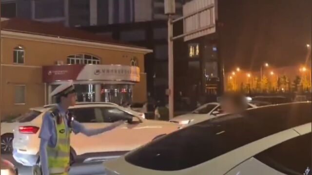 大连警方通报男子与交警争执自称公务员:系有限某公司董事长,非国家公职人员