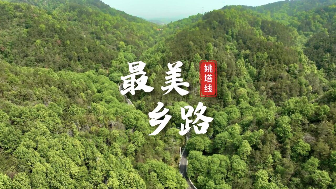 最美乡路“姚塔线”:一条串起山湖与花乡的路