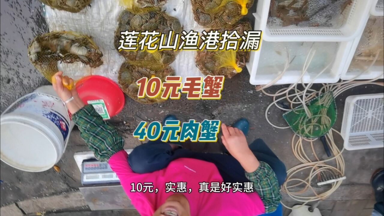 打卡广州“唯一”国家级渔港,在市场拾漏,肉蟹40毛蟹10元,值?