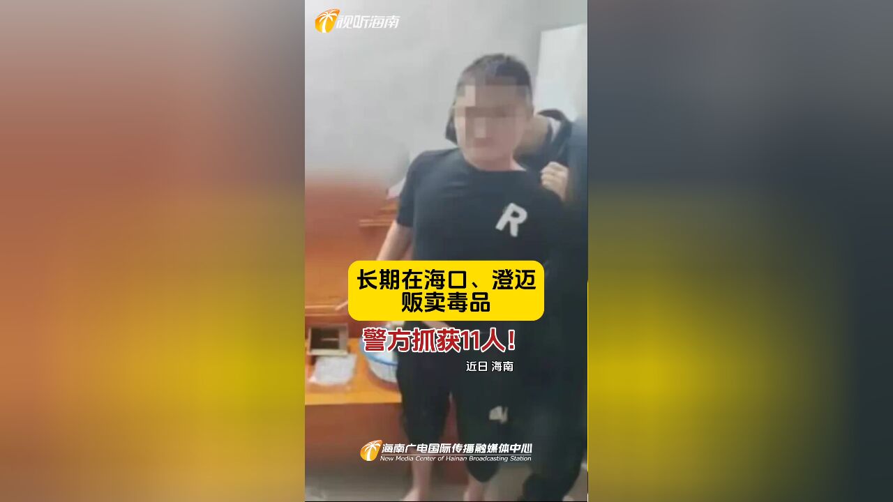 长期在海口、澄迈贩卖毒品,警方抓获11人!